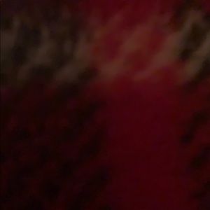 Meet your Posher, Isabella